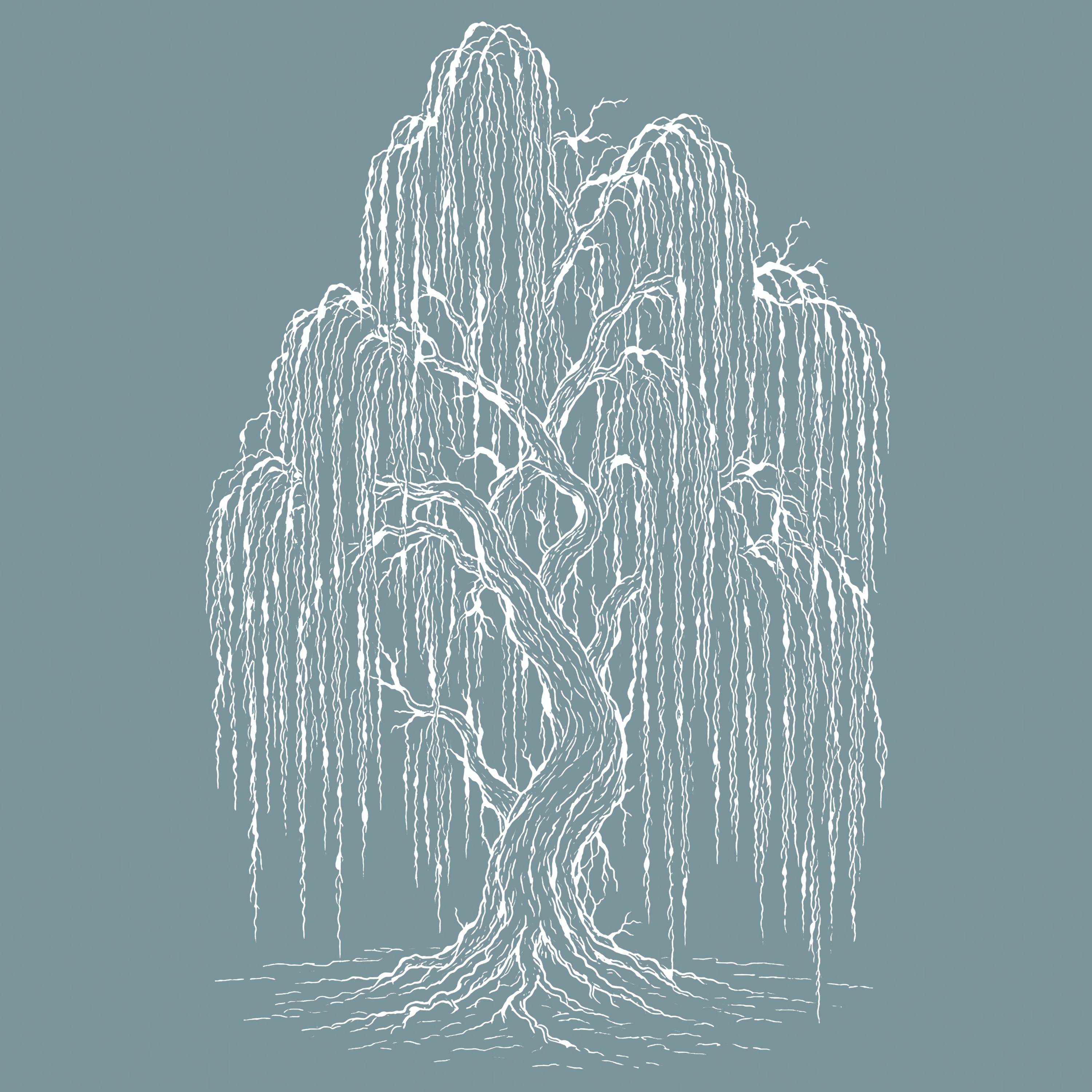 An illustrated weeping willow tree